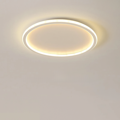 Ceiling Light for Living Room | Led