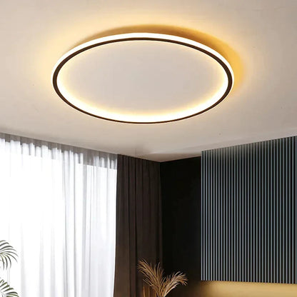 Ceiling Light for Living Room | Led