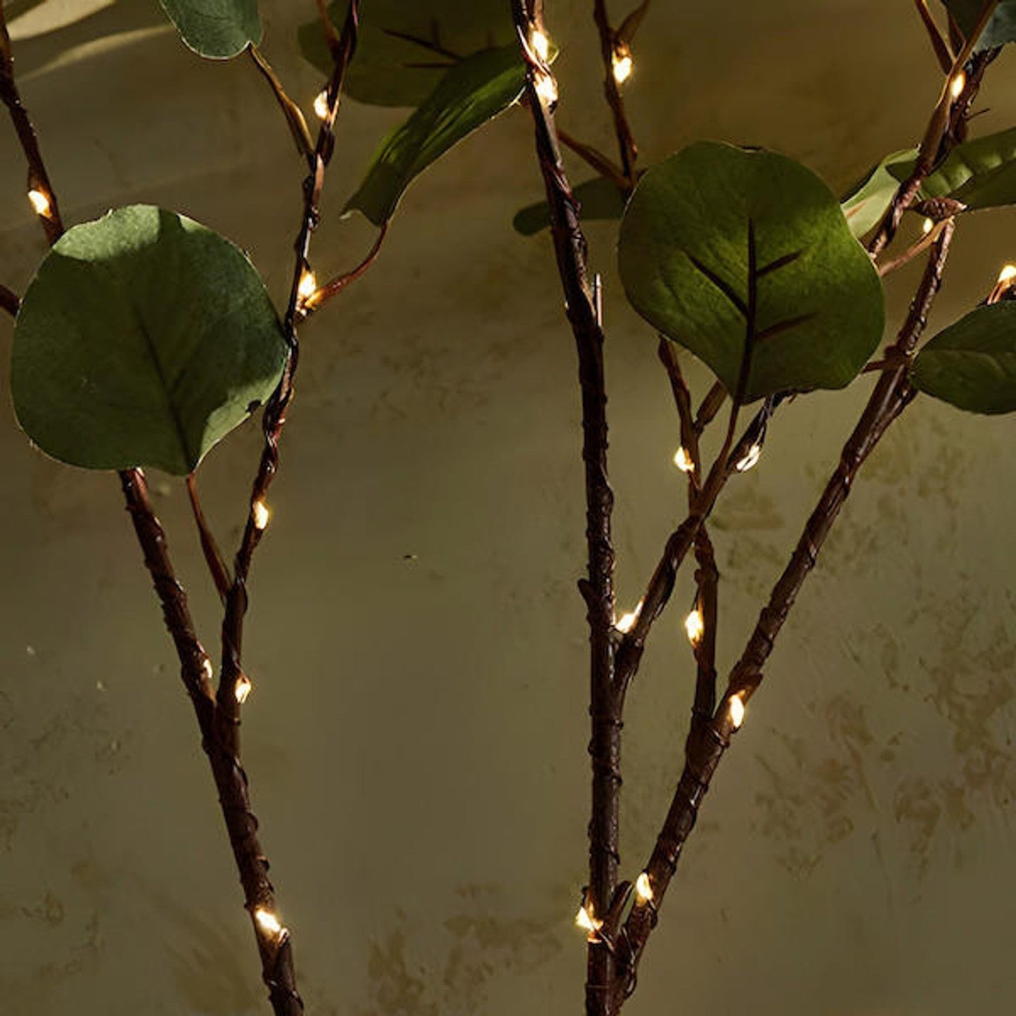 Fairy Light Olive Branch | Led